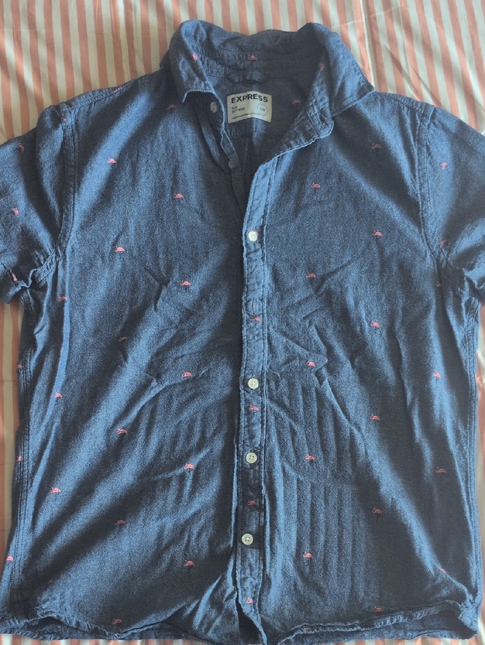 Express Men’s Navy Button-Down Shirt with Pink Flamingo Embroidery